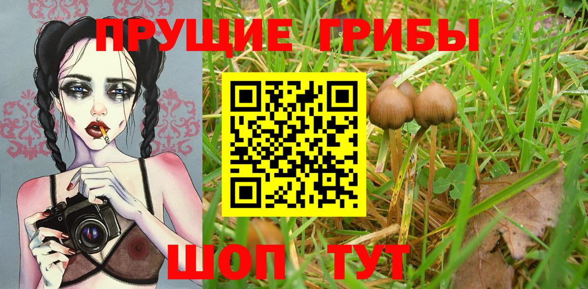 Галлюциногенные грибы Psilocybe  Вход с VPN  Комсомольск-на-Амуре 